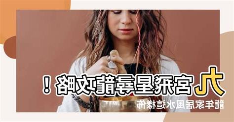 九宮飛 家居風水 飛星尋龍